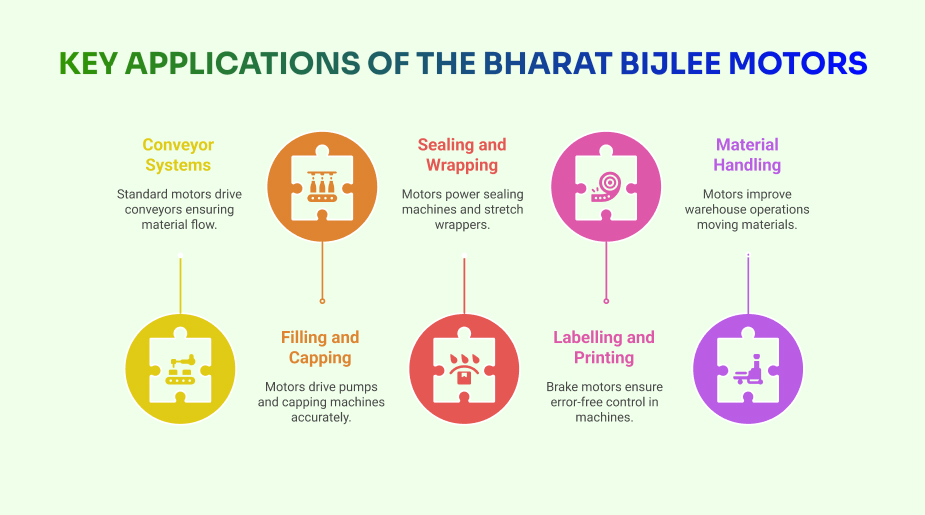Applications of BBL Motors