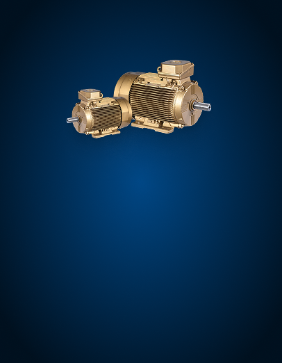 CG-Motor
