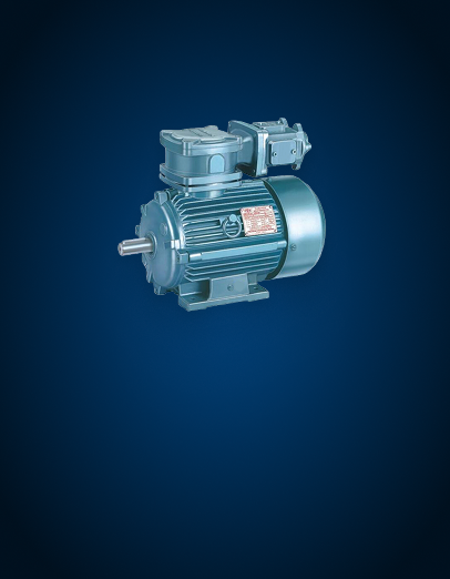 Flameproof Motor