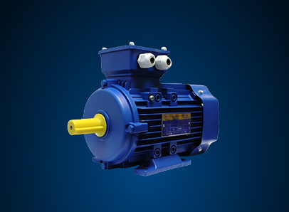 3 Phase Induction Motor