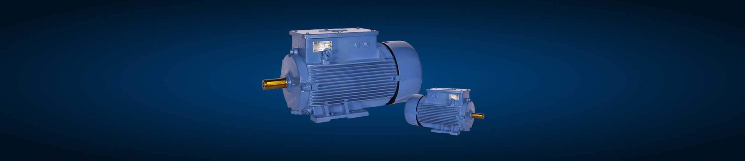 Save Energy Costs with High-Efficiency Bharat Bijlee Motor
