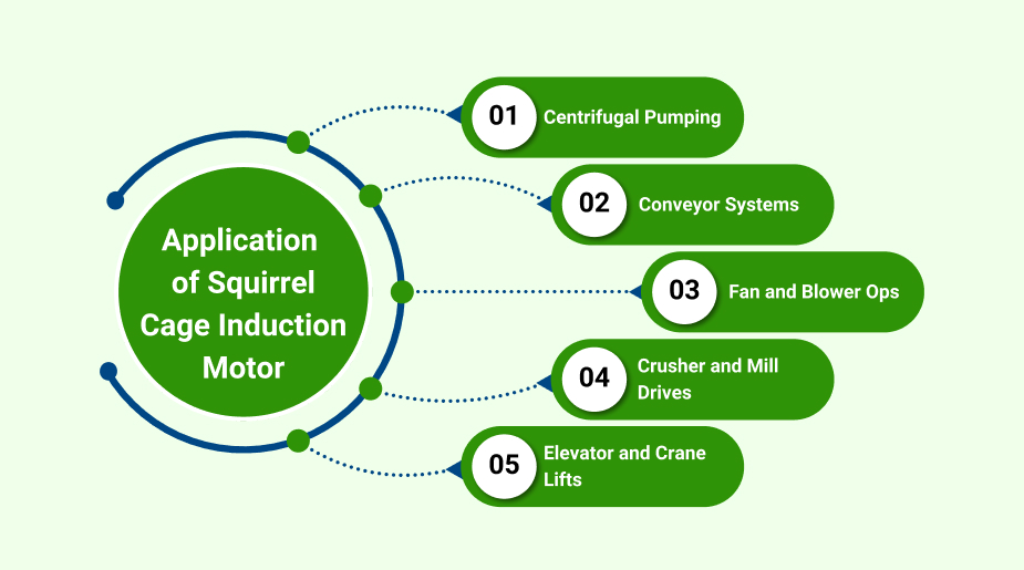application of squirrel cage induction motor