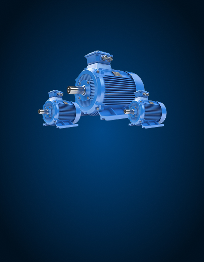 squirrel cage induction motor