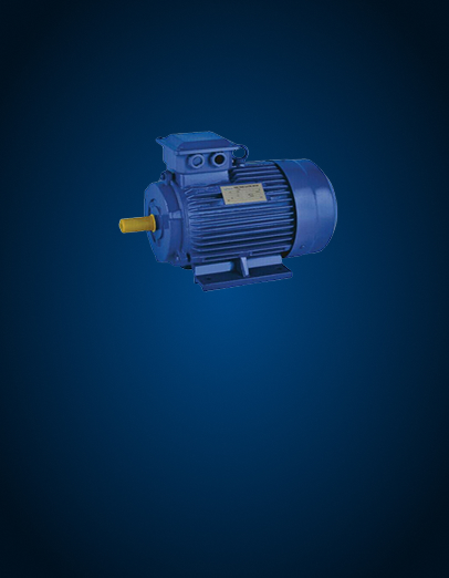 flange motor