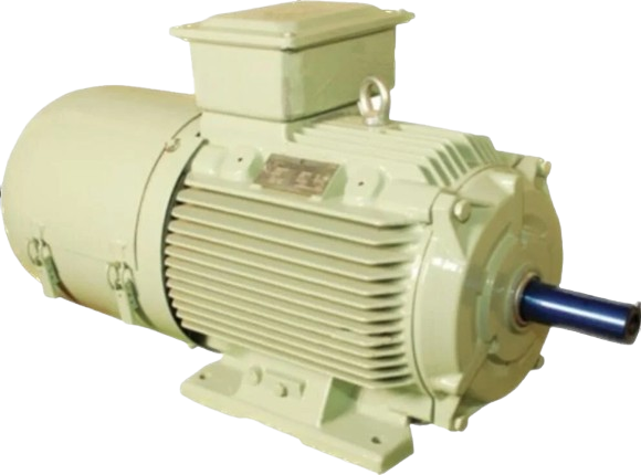 Crompton Crusher Duty Motors