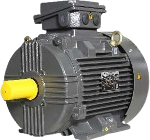 Crompton IE4 Motors