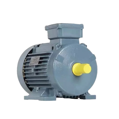 Havells Induction Motors
